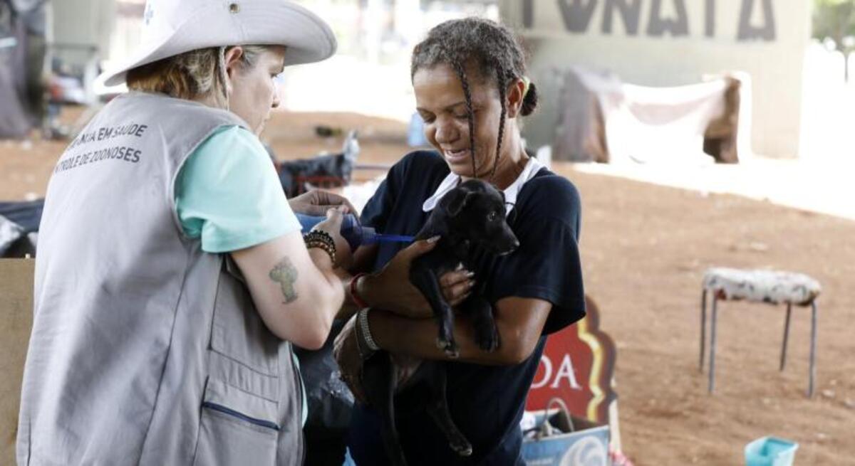 A PBH também realiza ações voltadas a pets que circulam sem tutores pelas ruas, veja como adotar