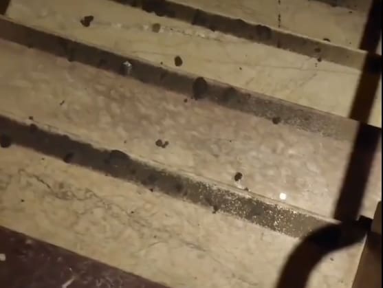 Estromatólitos