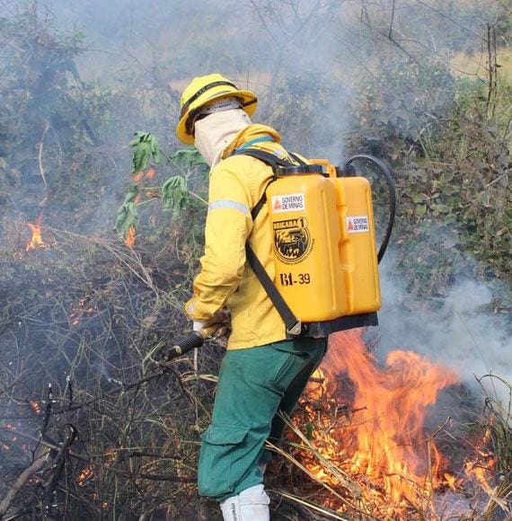 Brigadistas voluntários usam recursos próprios para combaterem incêndios florestais