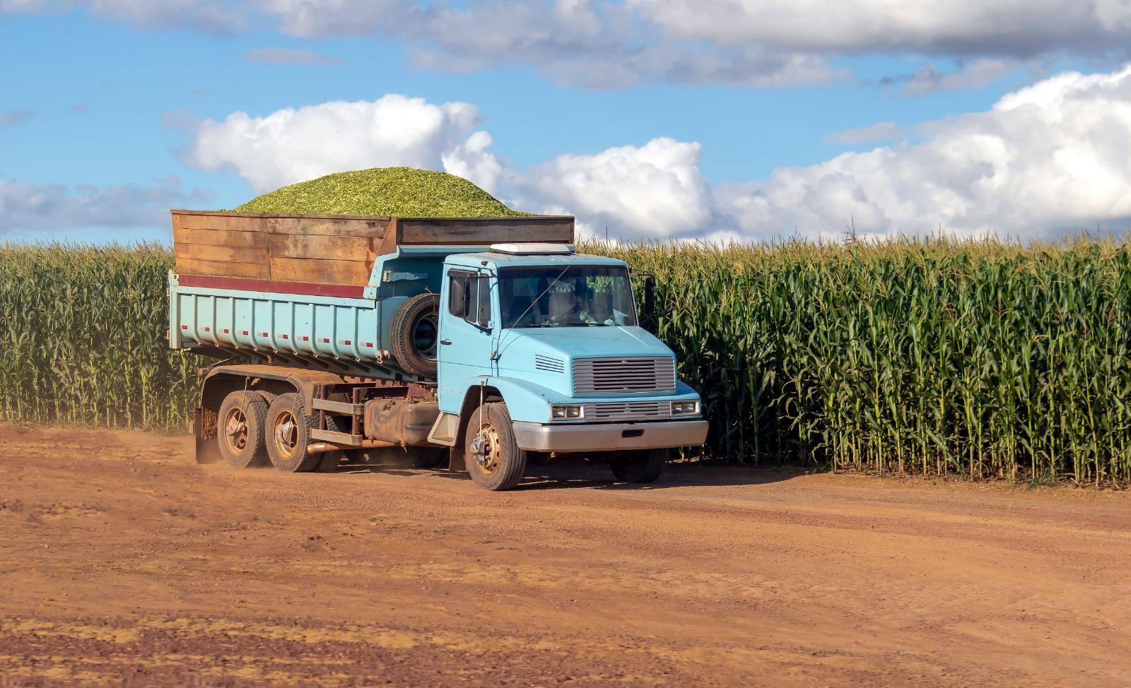 No ano passado, um dos destaques na geração de vagas de trabalho no setor de serviços foi o transporte, impulsionado pelo bom desempenho do agronegócio