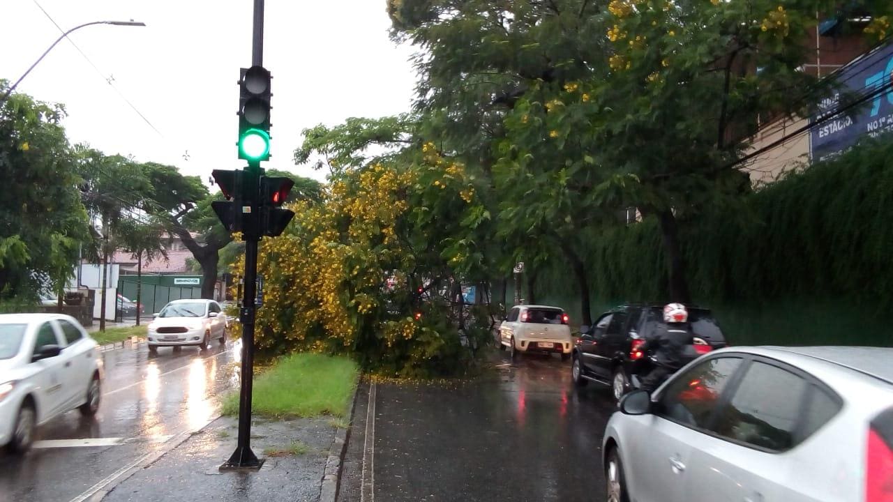 Avenida Raja Gabáglia
