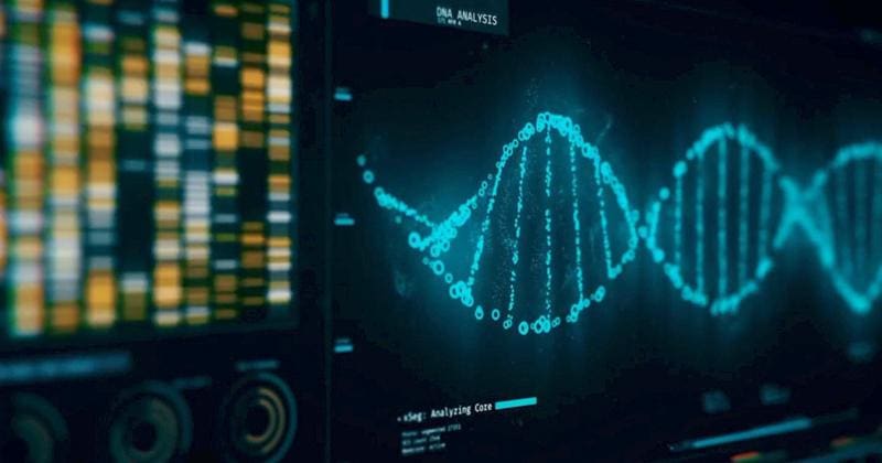DNA
