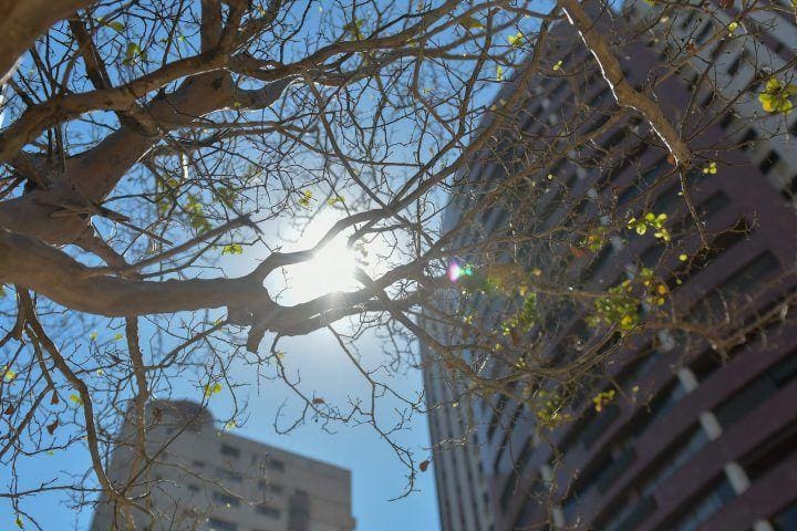 UV_20180815_058jpg