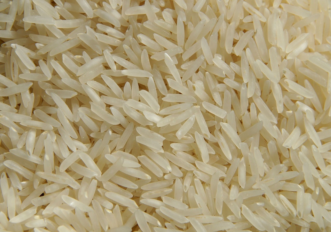 O leilão tem como objetivo garantir o abastecimento de arroz após as enchentes no Rio Grande do Sul