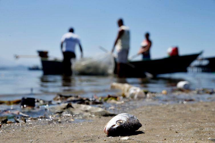 Apesar da intensa poluição, muitas pessoas ainda sobrevivem dos pescados da Baía de Guanabara