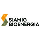 Acesse mais matérias de Siamig 