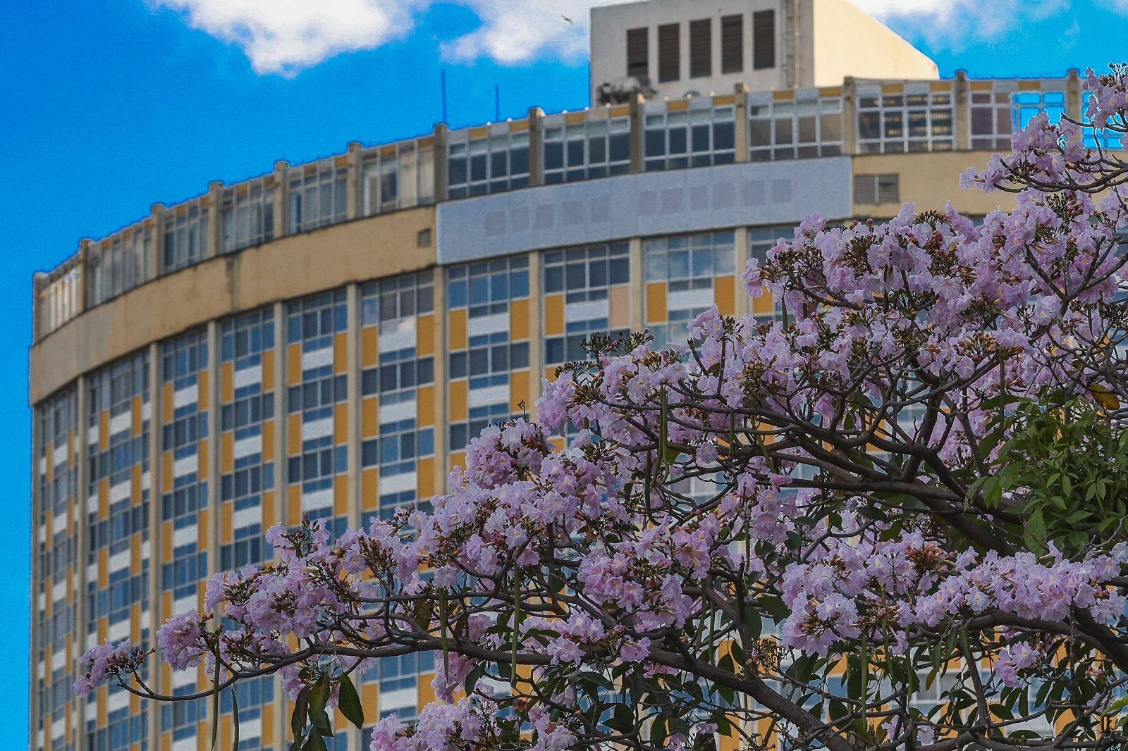 primavera - inverno - estações