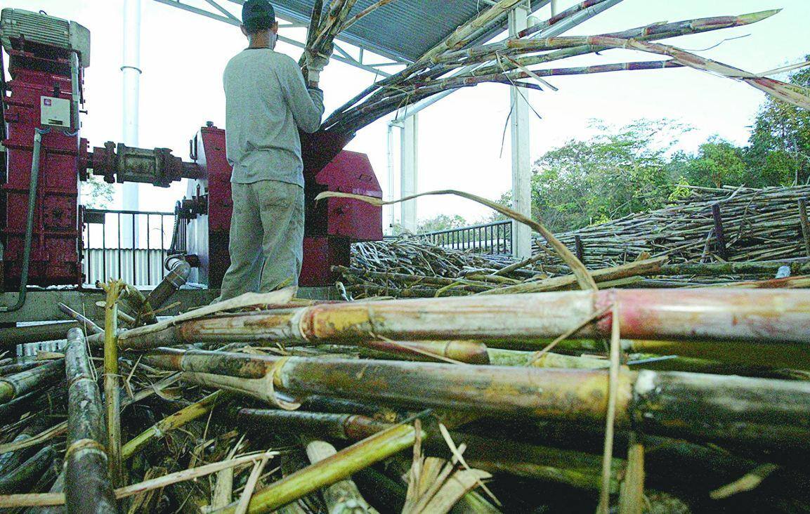 Participação Minas é o maior produtor de cachaça do Brasil, com 60% do mercado e 230 milhões de litro por ano fabricados