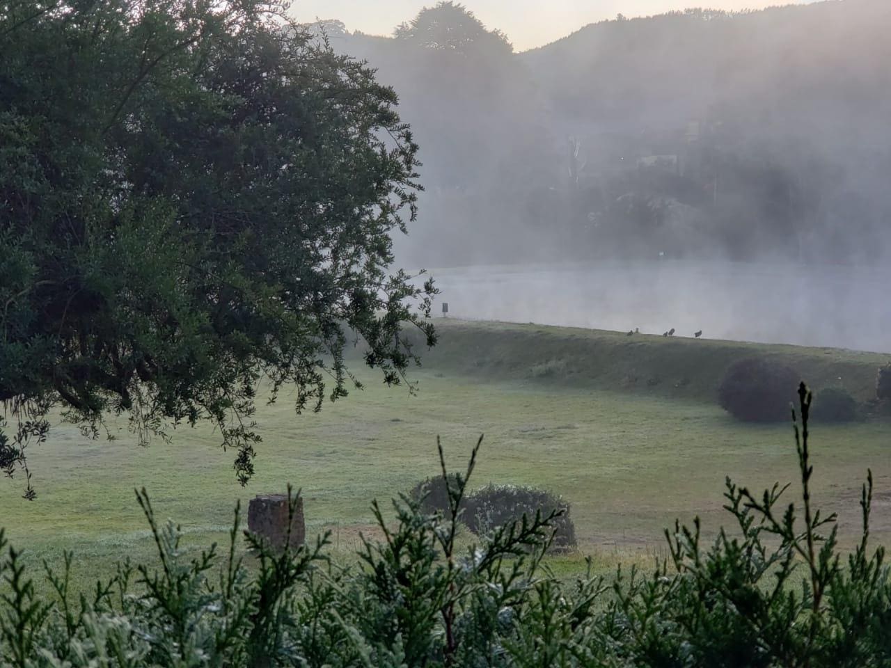 Monte Verde