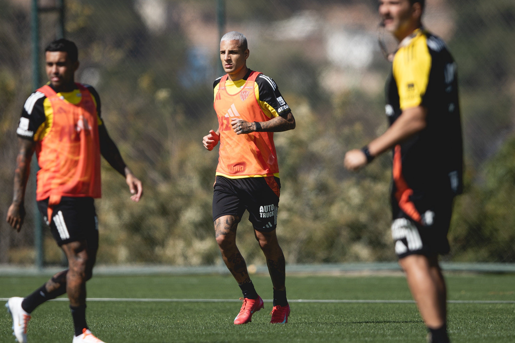 Arana e Dudu estão de volta para o jogo de quarta 