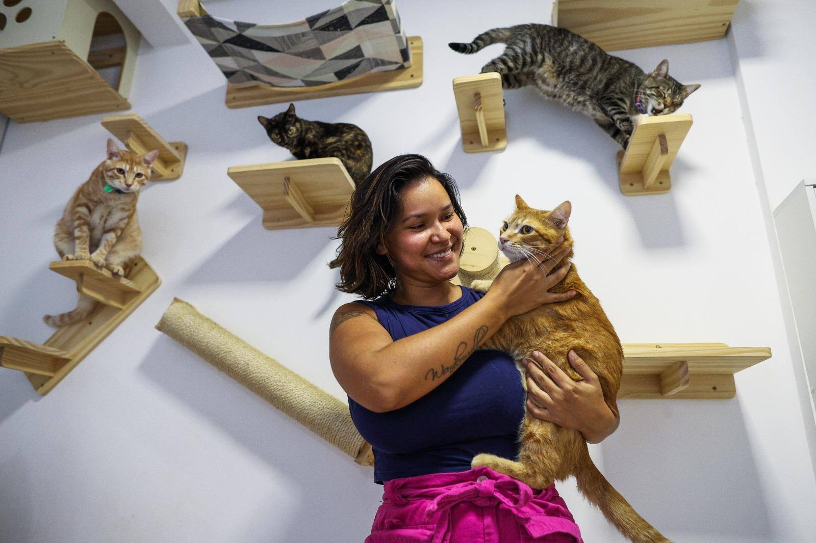 Imagem mostra Jordana com um gato nos braços e três atrás dela 