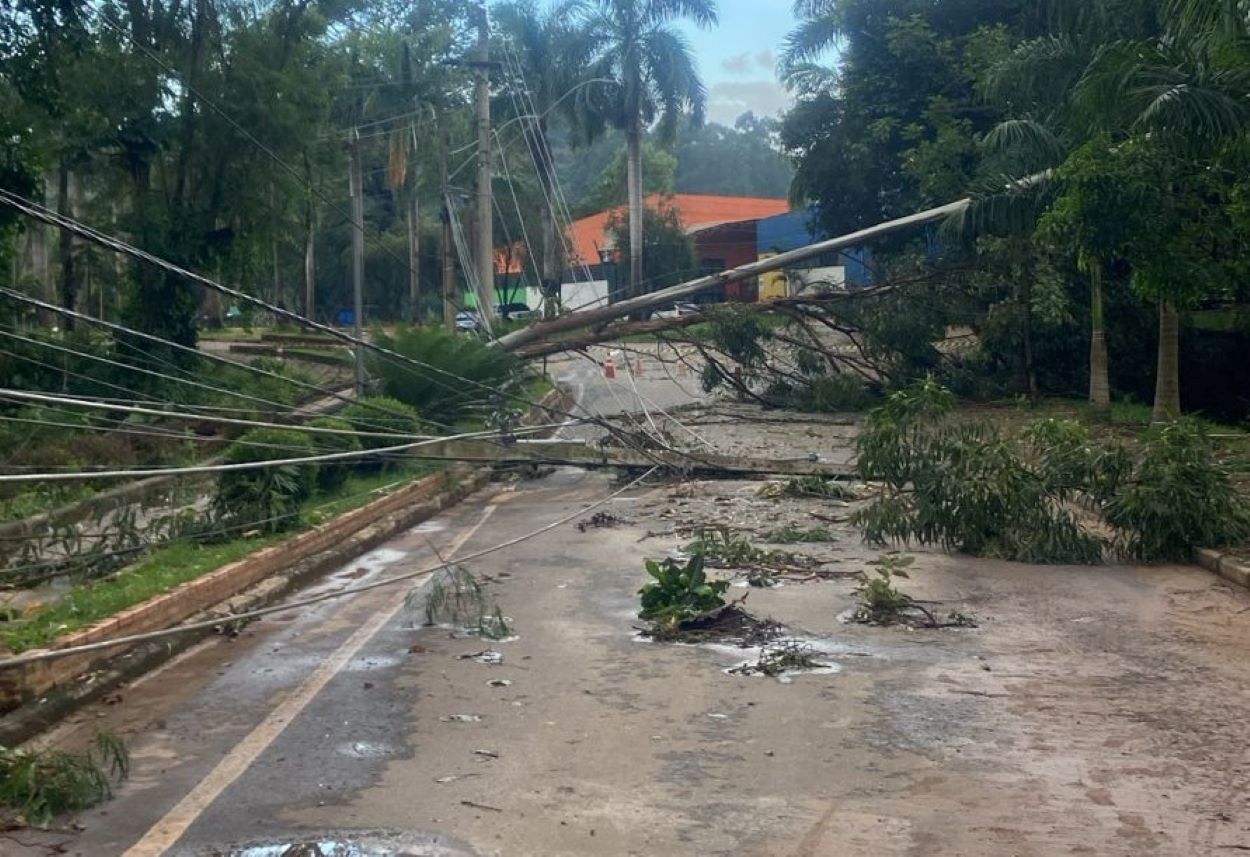 Postes e árvores caíram durante forte chuva em Ibirité, na Grande BH 