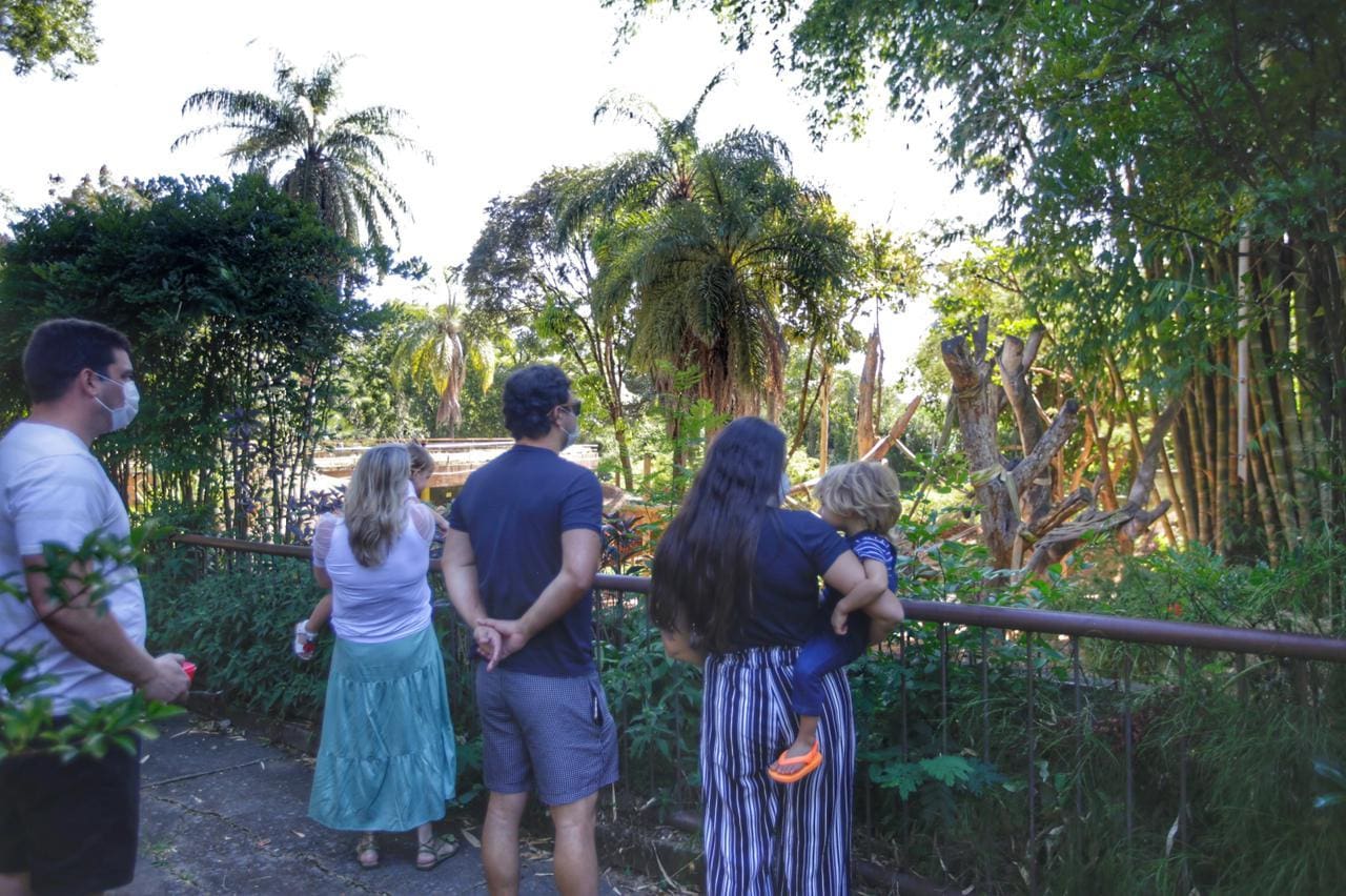 Zoológico reabre com necessidade de se agendar visitação