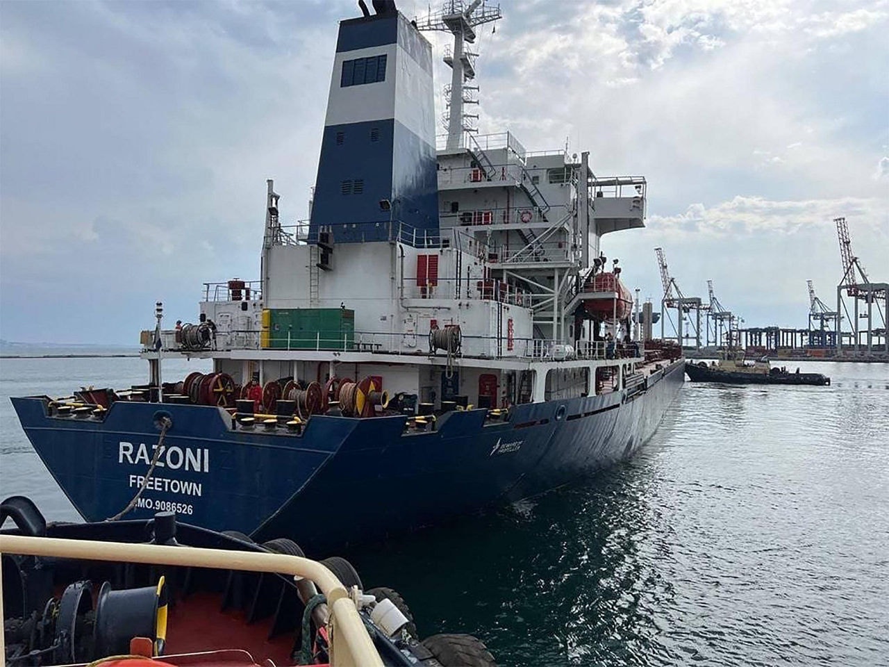Navio com grãos deixa porto na Ucrânia