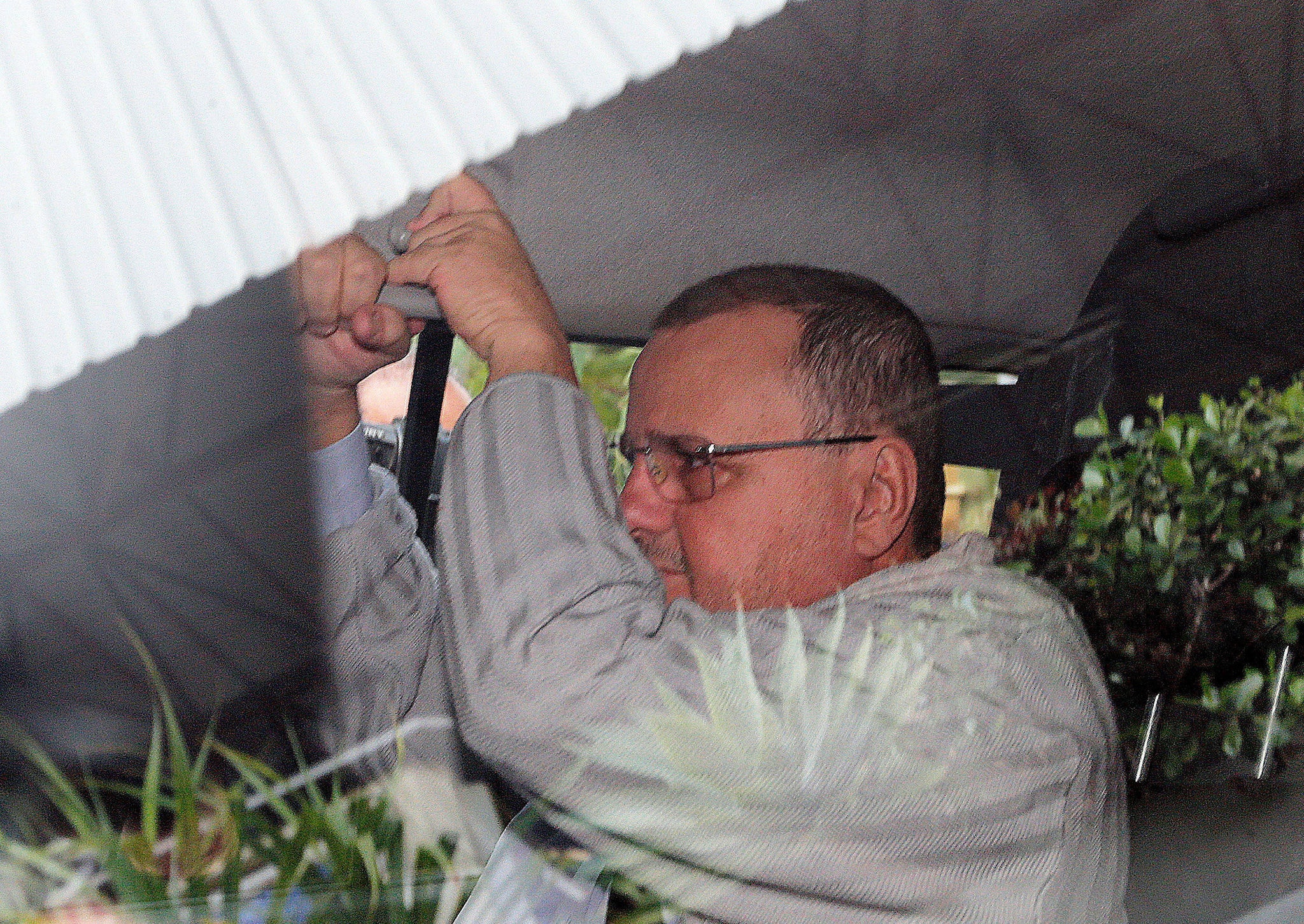 Geddel