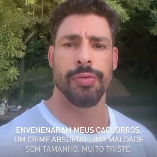 Cauã Reymond denuncia envenenamento de cães 