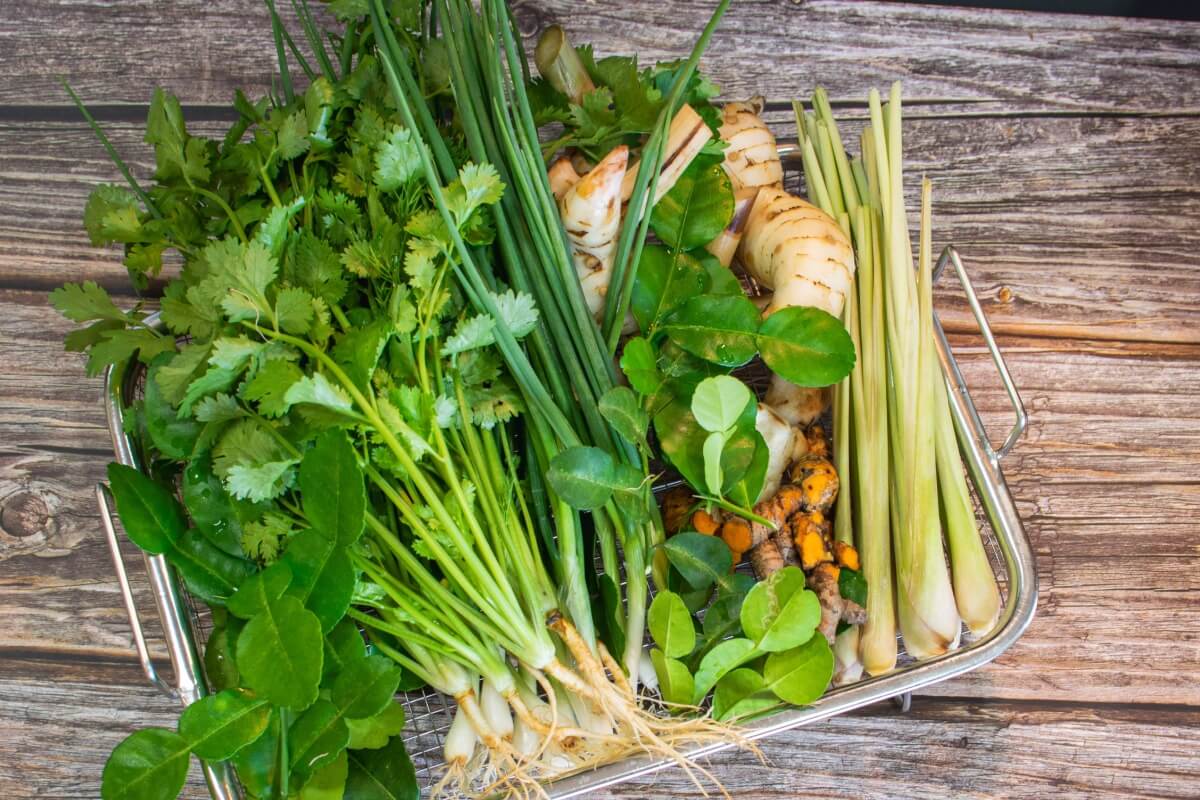 As ervas ajudam a elevar o sabor das receitas