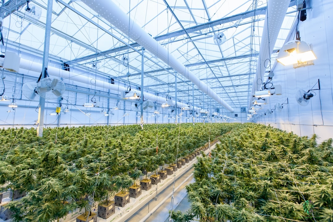 Remédio natural para autismo e TDAH faz ações subirem 60.000% — e choca o mercado
