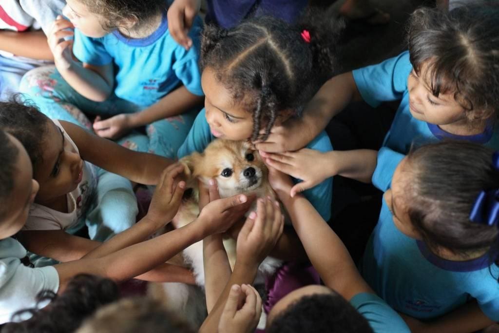 LFQ_Fundacao_015jpg