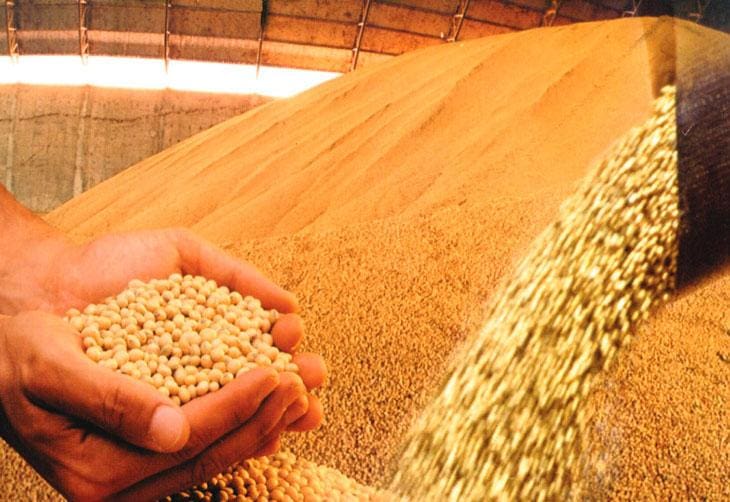 Produtos agrícolas atacadistas caíram 3,60%