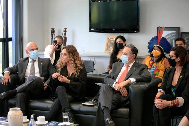 Ministros do STF recebem grupo de artistas do Ato pela Terra