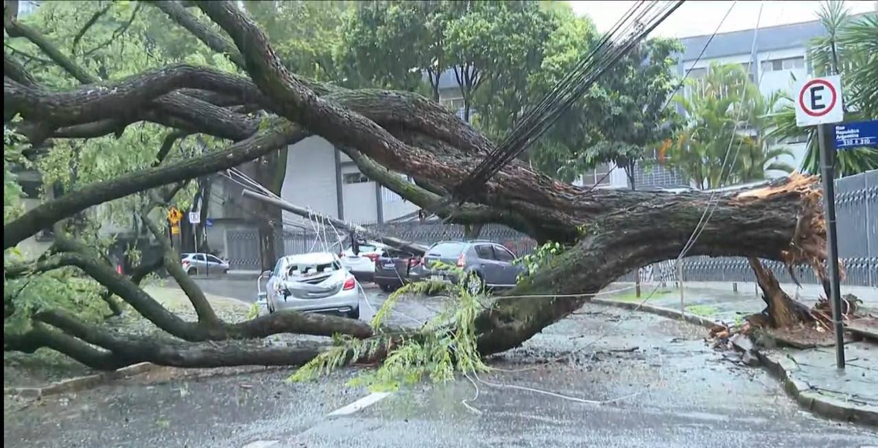 Carros foram atingidos por árvore e poste no Sion