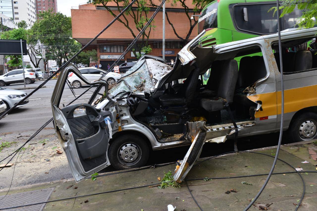 PBH diz que árvore que caiu e matou motorista estava saudável 