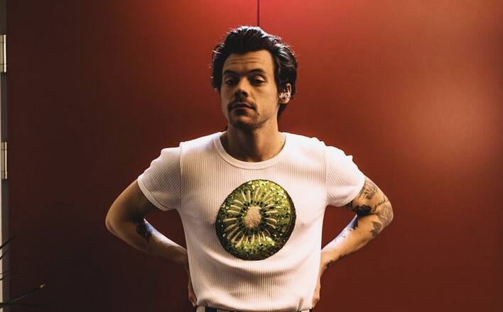 O cantor Harry Styles