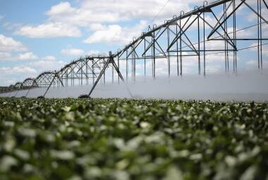 Agro busca alternativas 