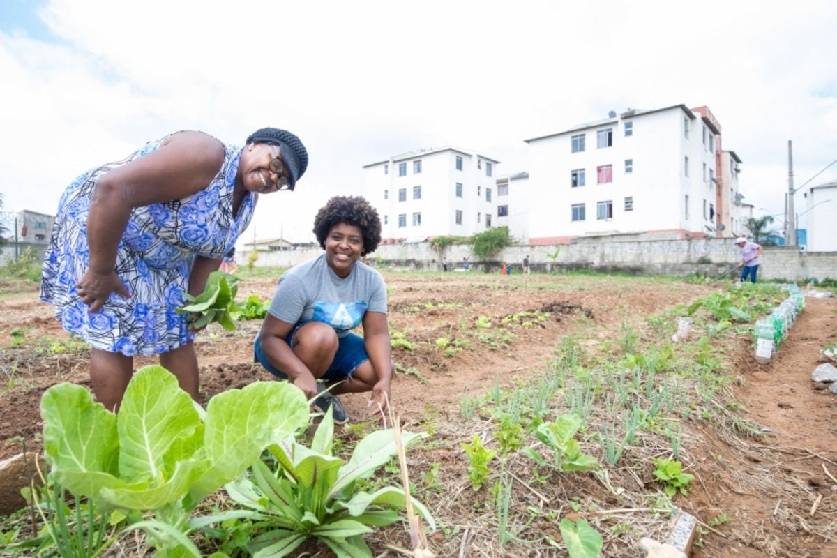 Política municipal alia segurança alimentar, justiça social e sustentabilidade ambiental