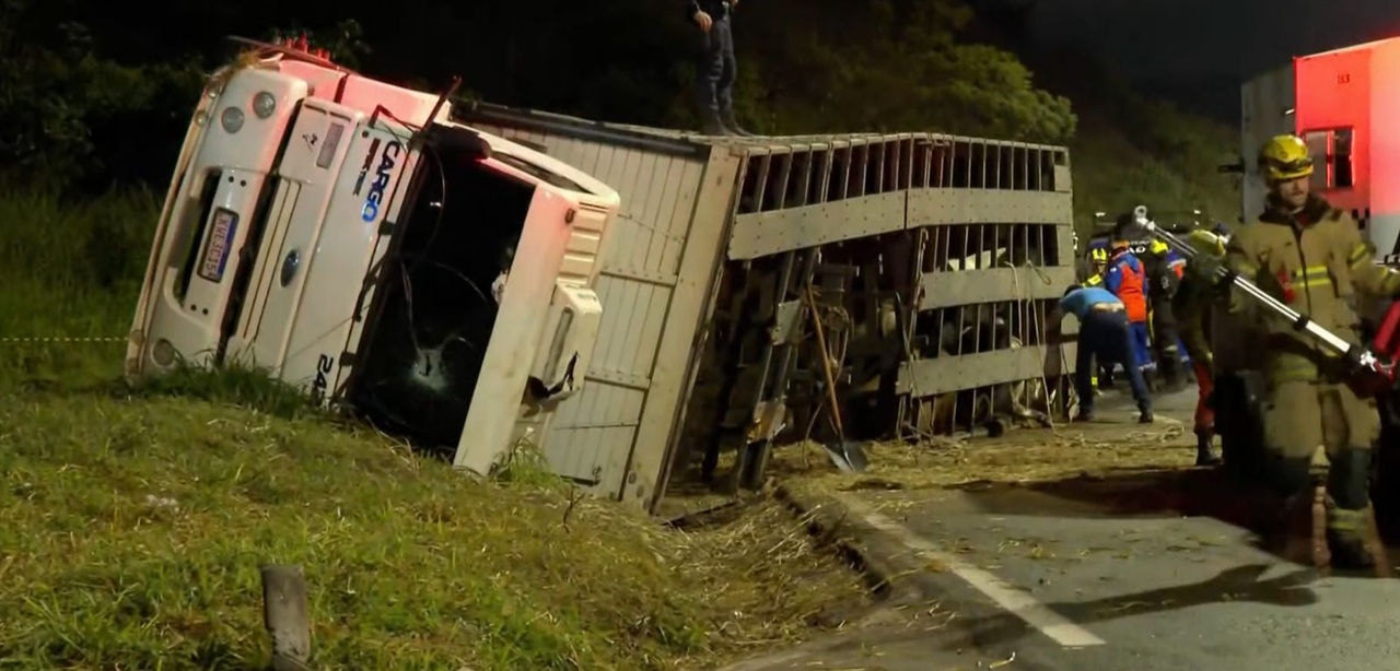 Carreta com bois tombou no Anel Rodoviário