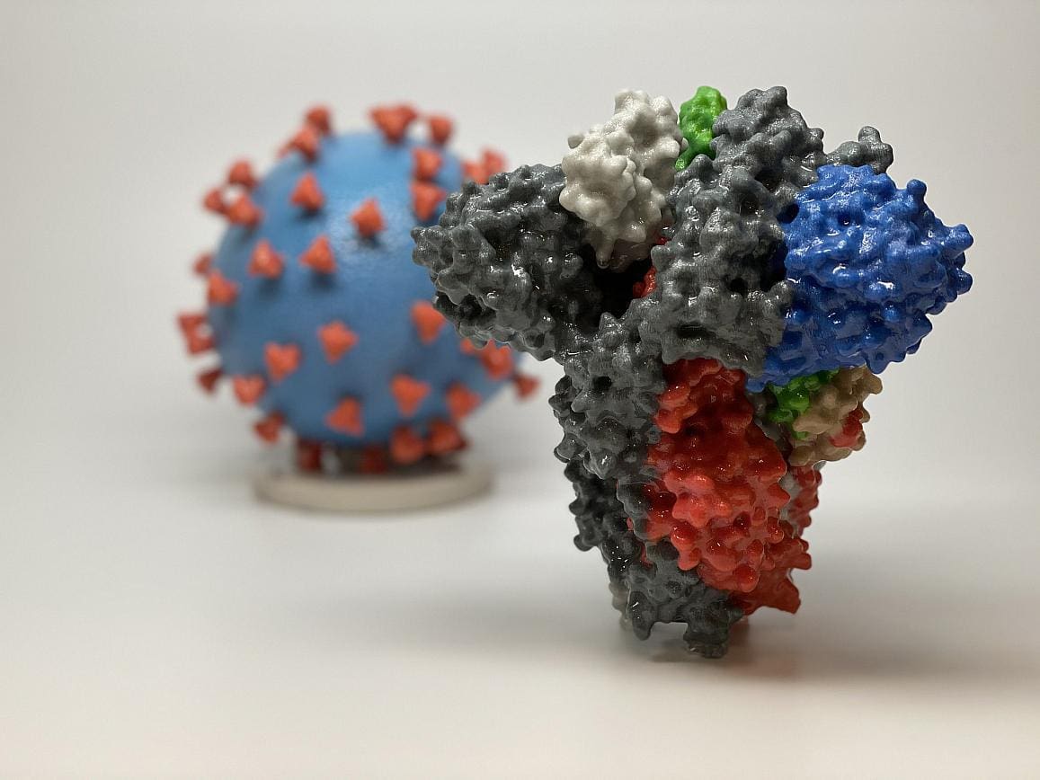 Imagem em 3D mostra como seria a proteína Spike (espícula) do novo coronavírus