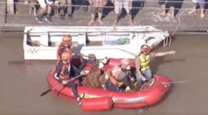 O resgate do equino foi feito pelo Corpo de Bombeiros de São Paulo e o suporte de veterinários que acompanharam toda a ação