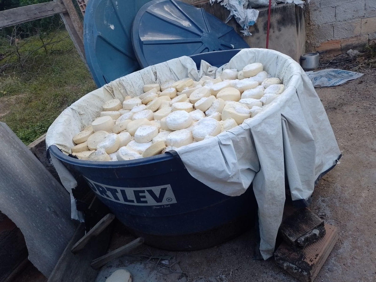 QUEIJO APREENDIDO EM MINAS LARVAS E FEZES