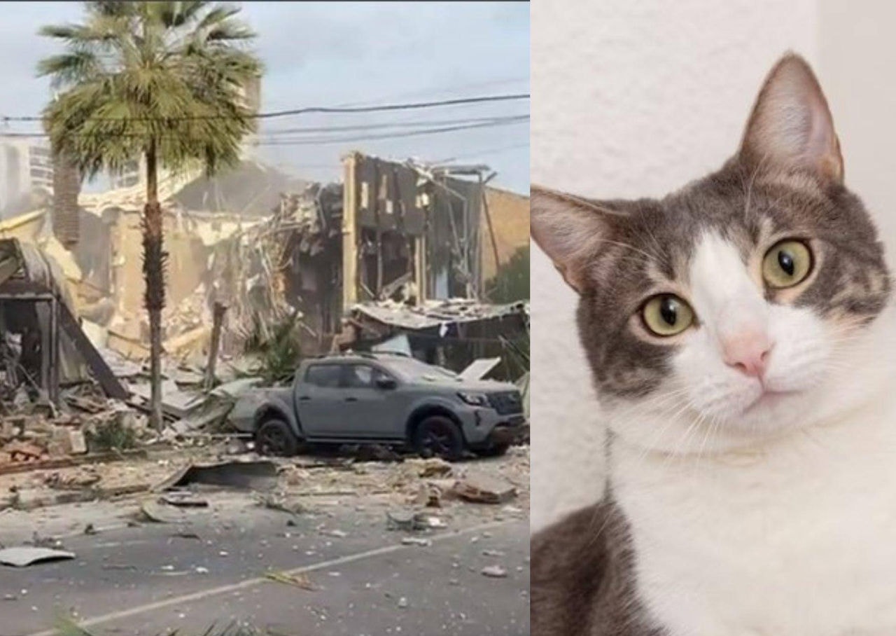 Montagem explosão restaurante Coco bambu e gato