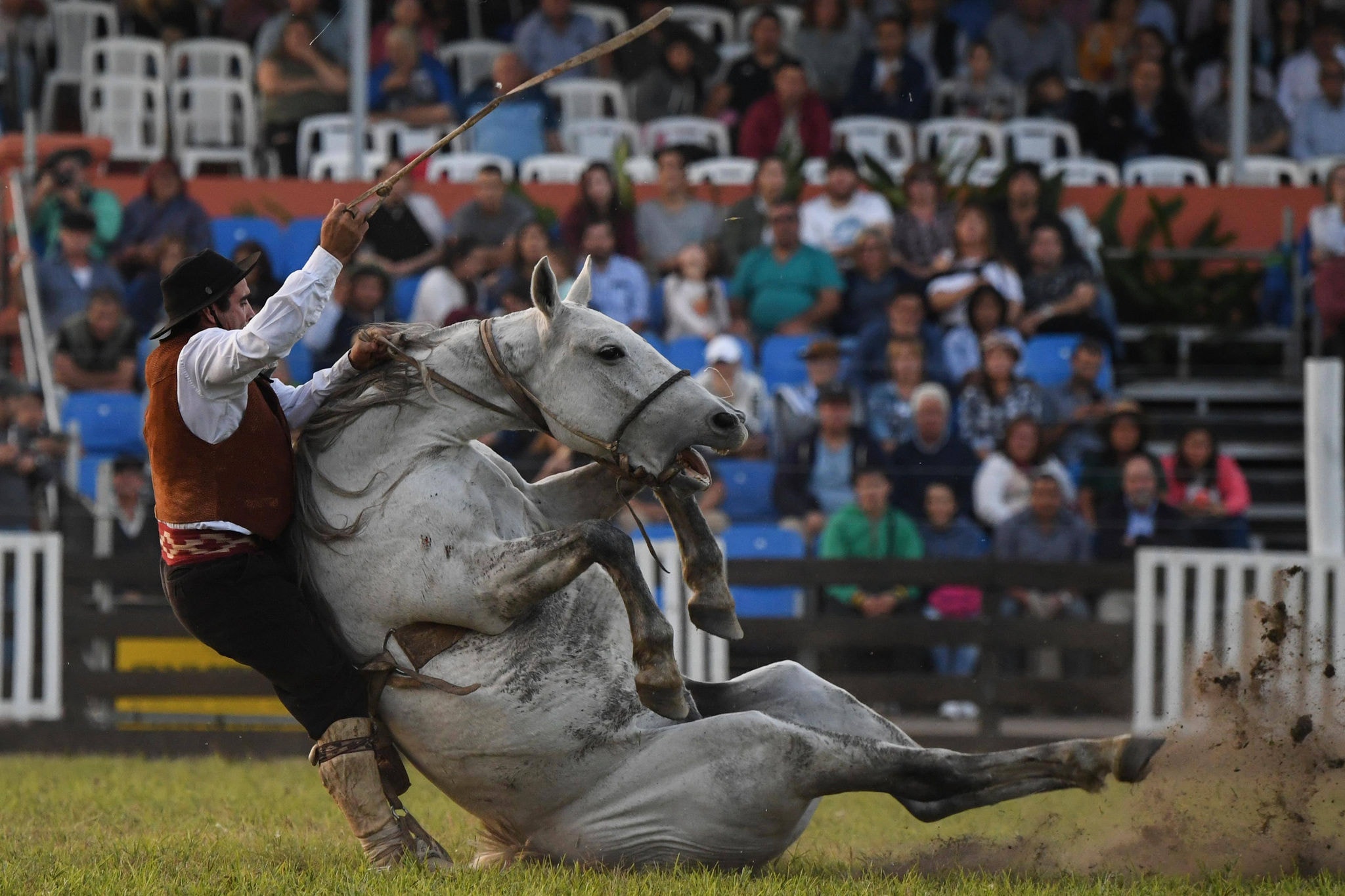 Gaúcho cai de um potro durante tradicional semana de rodeio em Montevidéu