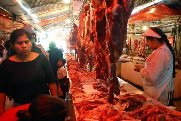  carne bovina