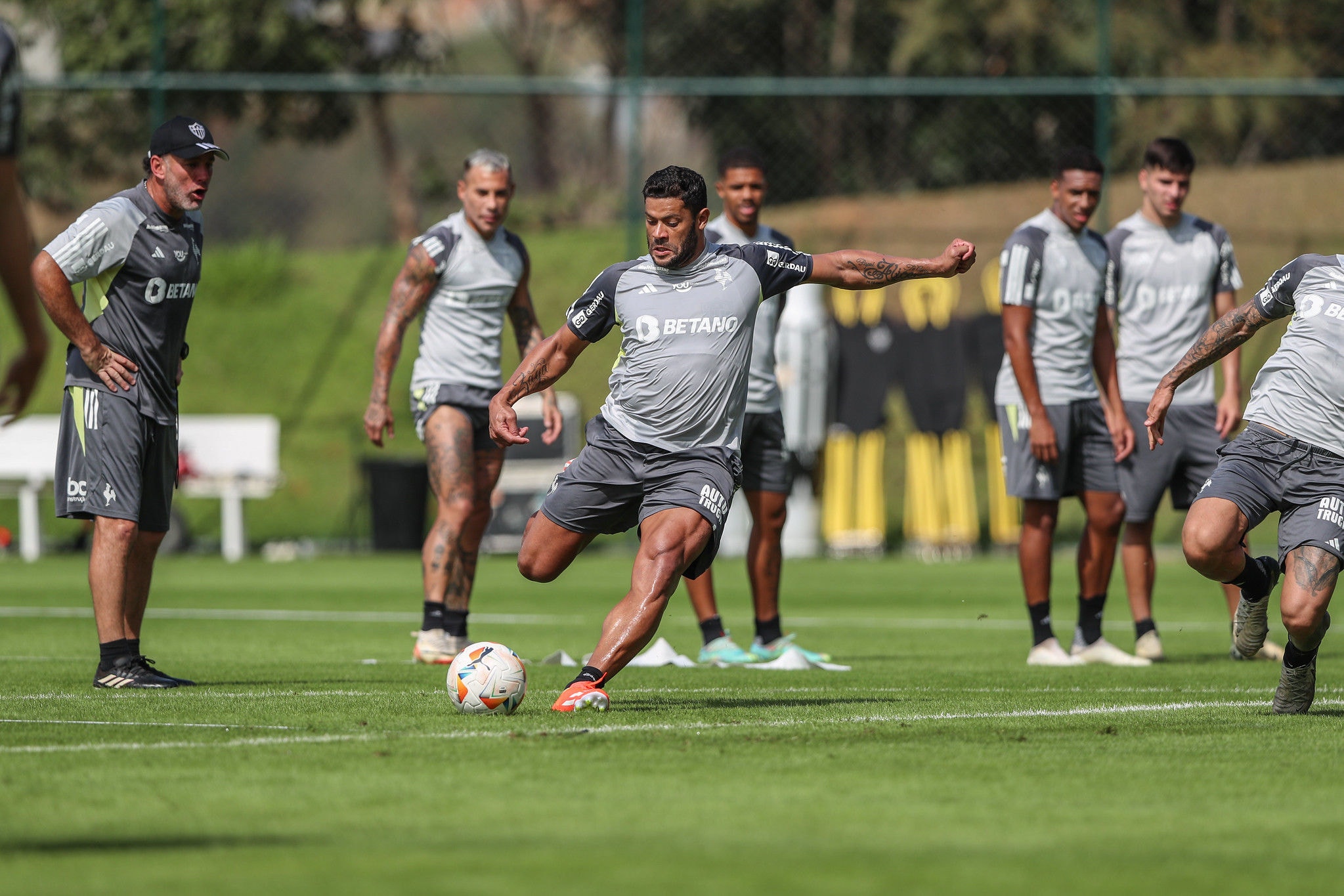 Treinador argentino tem a volta de Hulk, ausência contra o Sport na última semana por motivos pessoais