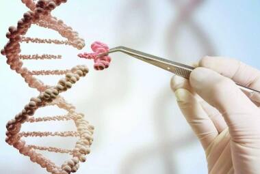 Edição. Cientistas excluíram pedaço de DNA que – eles descobriram depois – é responsável pela produção dos testículos