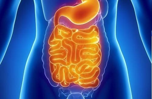Inovação no o tratamento  de infecção intestinal 