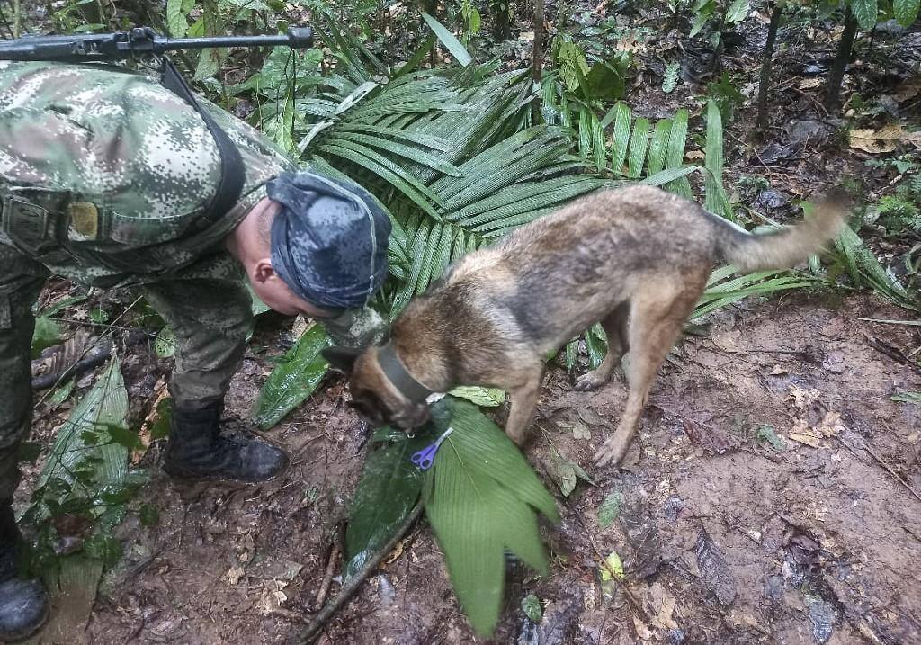 Acidente Amazônia colombiana
