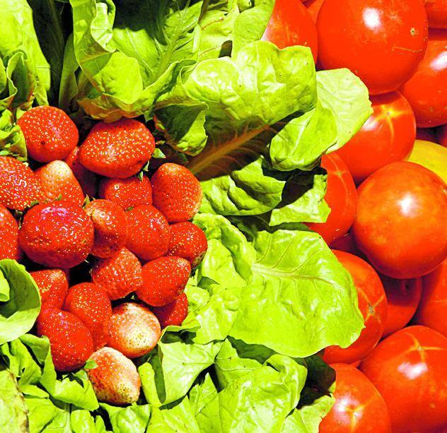 MORANGO TOMATE ALFACE - AGROTOXICOS