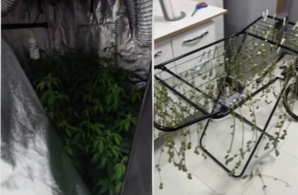 Produtos foram apreendidos pela PCMG.