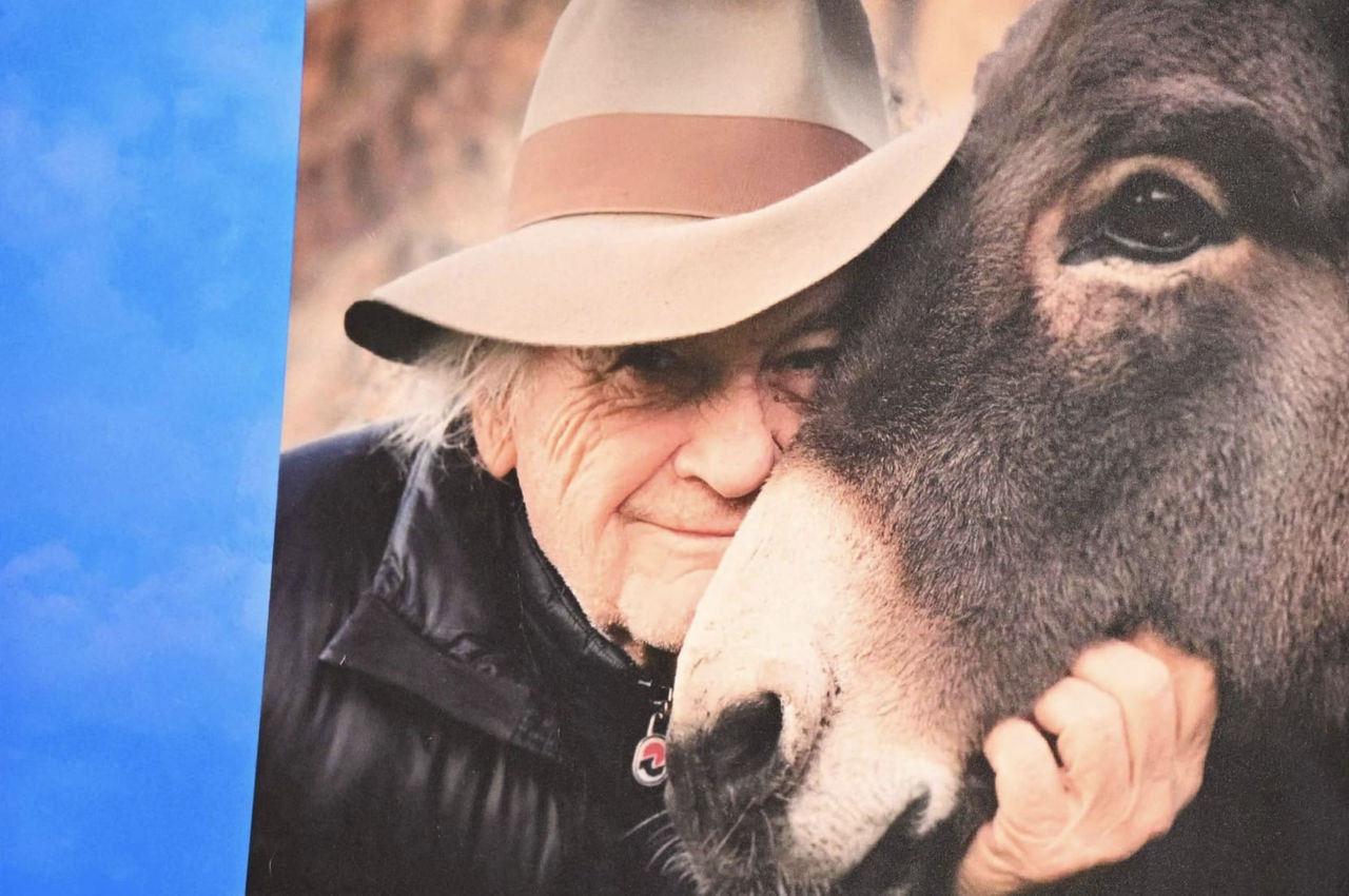 O cineasta Jerzy Skolimowski em foto com o burro que protagoniza 'EO', usada na coletiva de imprensa no Festival de Cannes, já que o diretor não pôde comparecer presencialmente