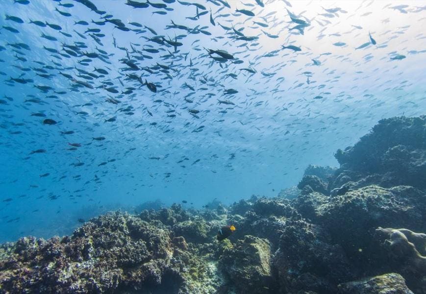 Deslumbrante imagem do mar límpido de Galápagos 