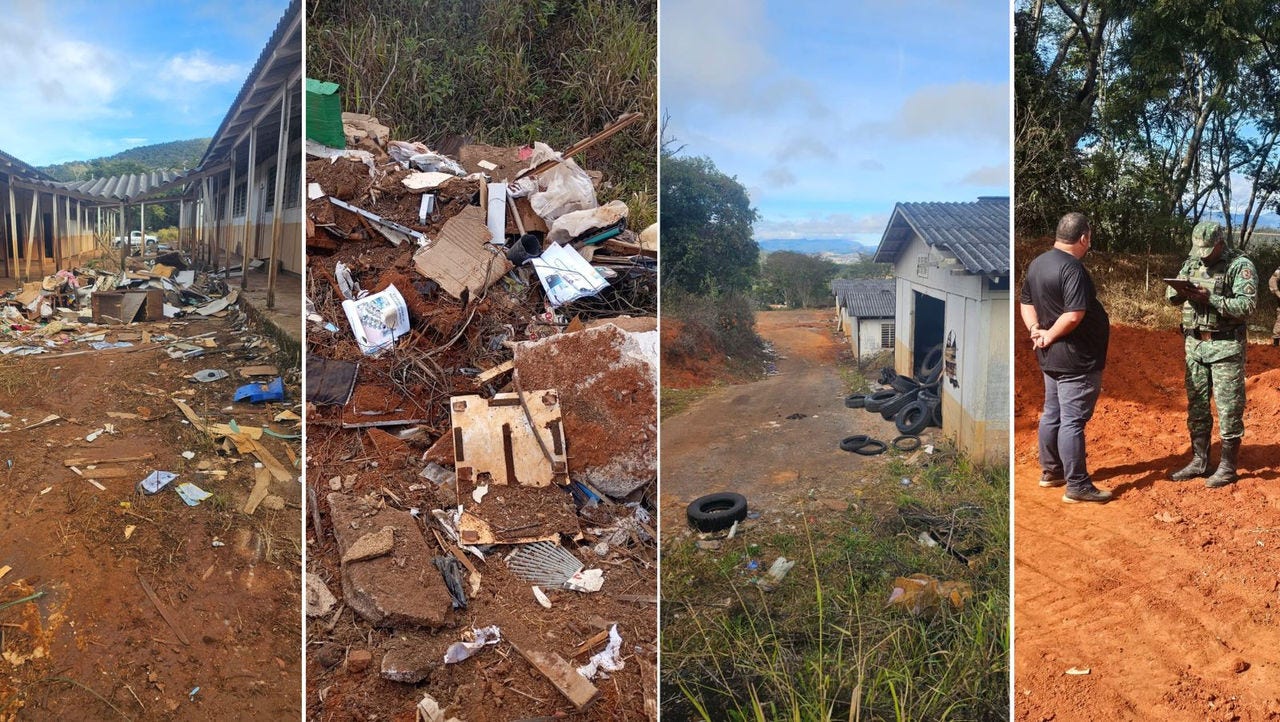 Uma operação da Polícia Militar de Meio Ambiente foi realizada na última segunda-feira (4/8)