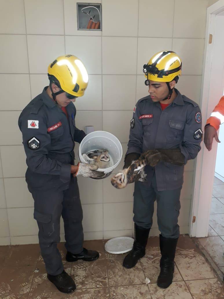 Corujas Bombeiros