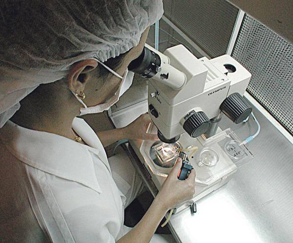 Fertilização in vitro tem melhor resultado com embrião congelado