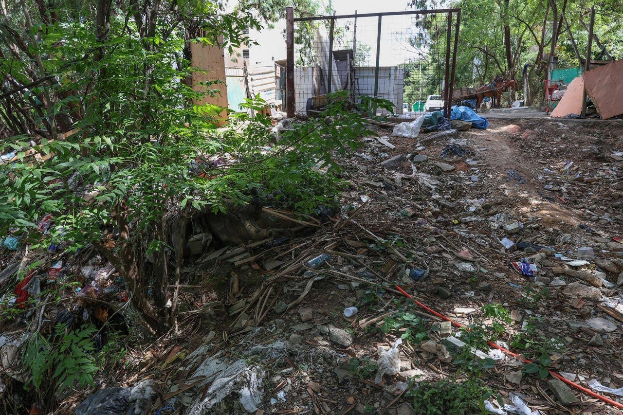 Lixo acumulado em terreno do bairro Dona Clara, em BH, cria ambiente propício para a proliferação do mosquito da dengue