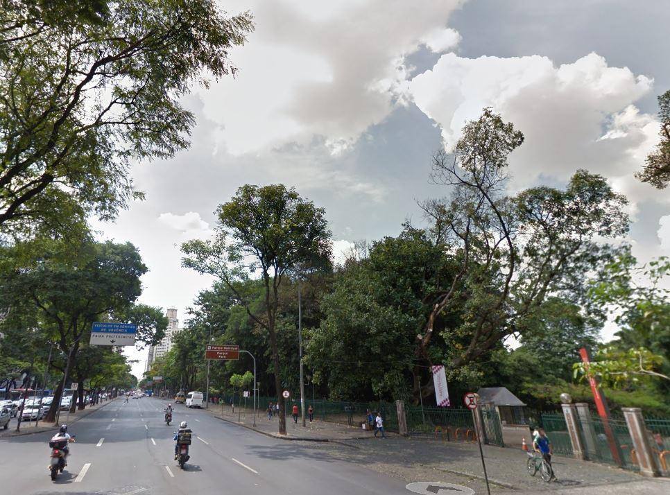 A árvore em risco fica dentro do Parque Municipal de BH